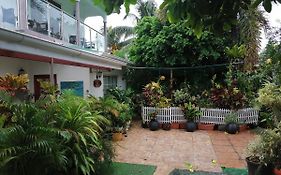 Creole Cottage Homestay